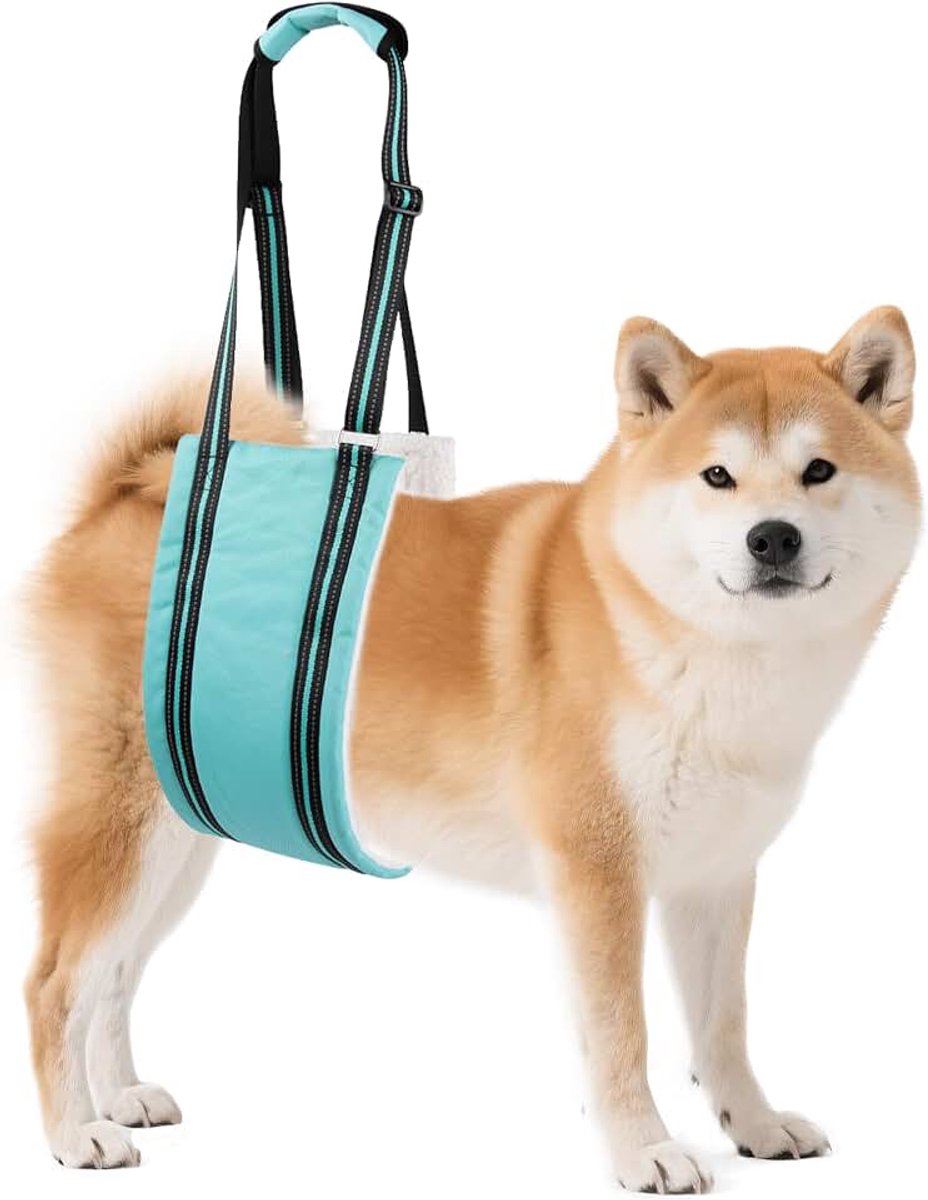 Dog Lift Harness Medium - Hind Leg Support Sling with Hip Padding, Rehab Mobility Aid for Senior/Disabled Dogs, Orthopedic Injury & ACL Surgery Recovery (Turquoise, M)