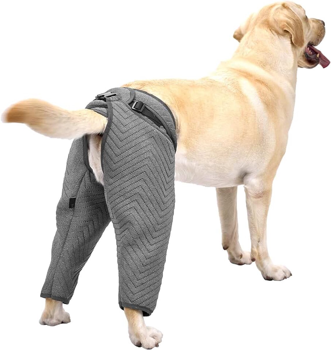 Herstelpak voor hondenbenen, herstelpak voor achterbenen, herstelmouwen na operatie voor reu en teefjes, beschermende beenmouwen voor kleine, middelgrote/grote honden, XXL