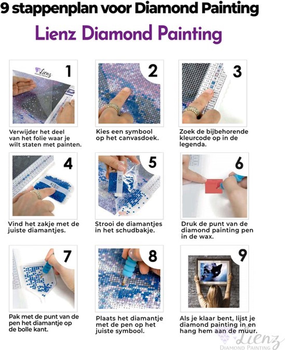 Lienz® Diamond Painting volwassenen 40x40cm – Rond – Koeien in bus — afbeelding 7