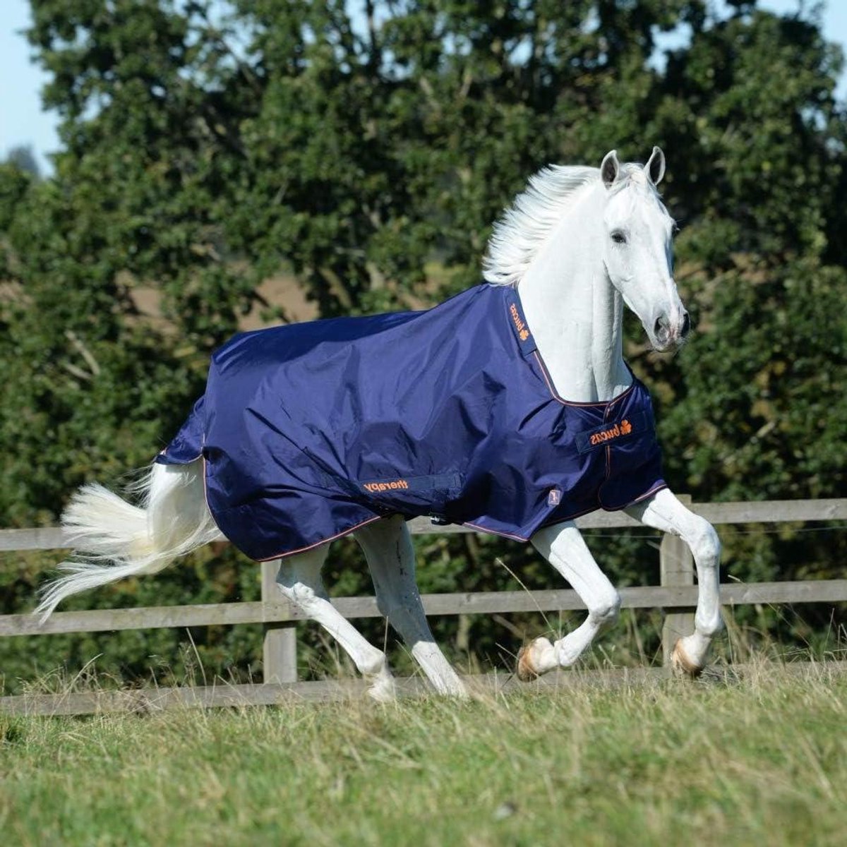 Therapie Paardendeken - Paardendeken Therapy - Herstel Bevorderen - Geïntegreerd Roestvrij Staal - 135 cm - Blauw/Oranje