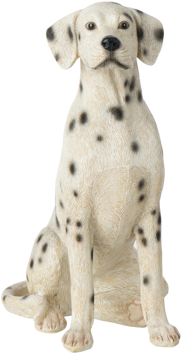 J-Line Dalmatiër - polyresin - wit/zwart - small