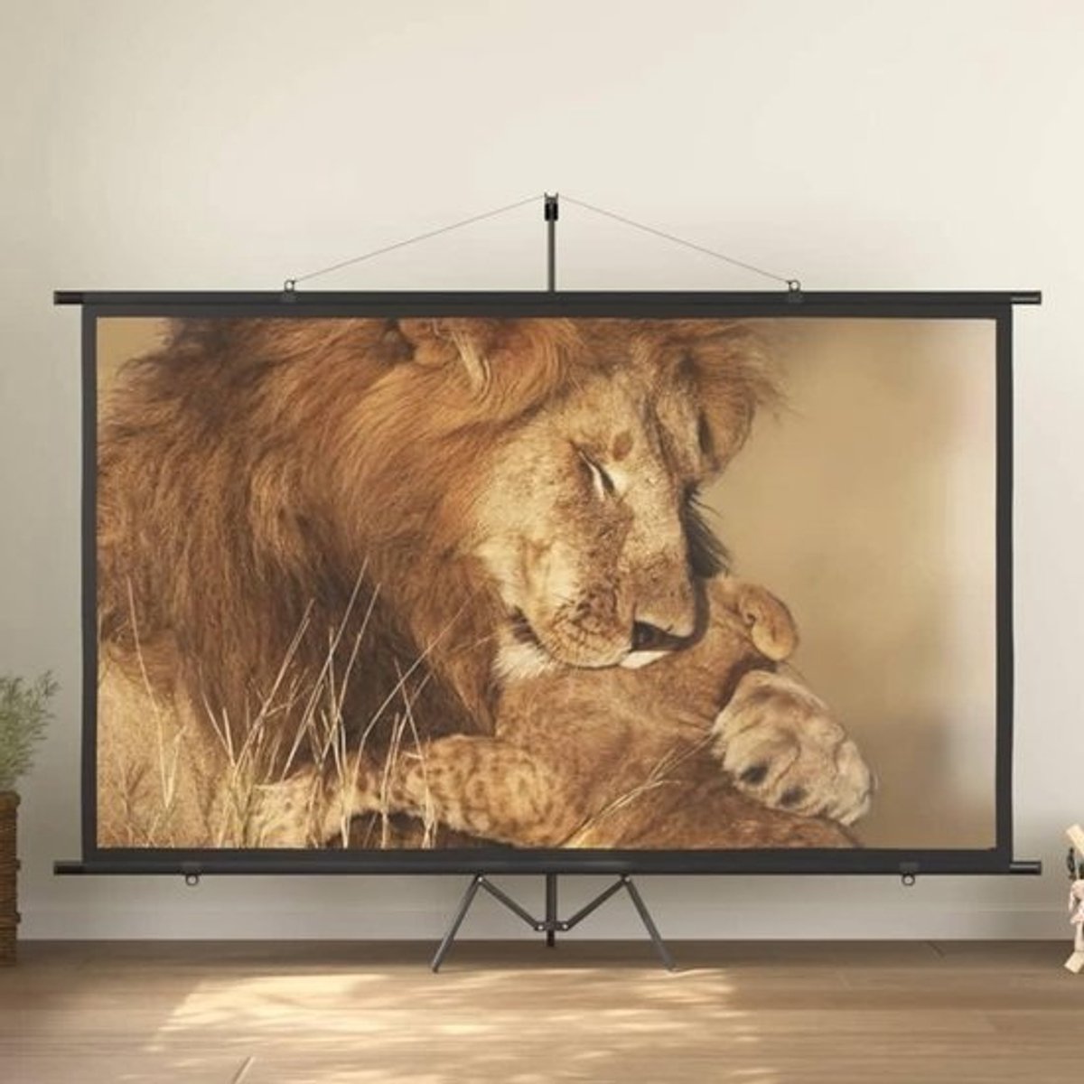 Projectiescherm met statief - Projector scherm - Thuisbioscoop - 160 graden kijkhoek - 120 inch - Mat wit
