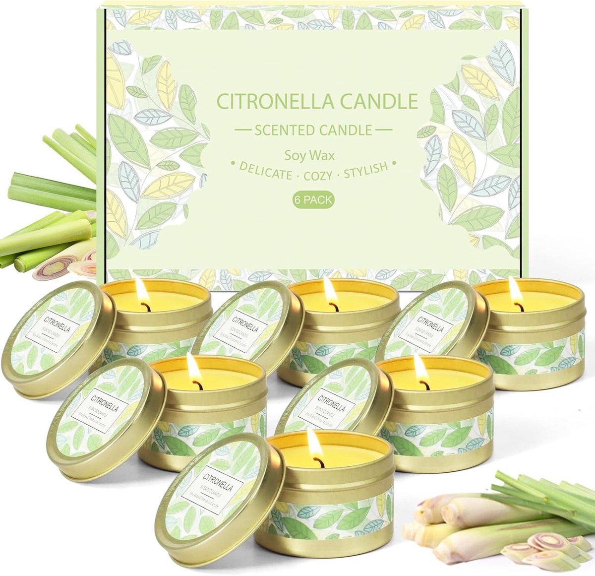 Thijox - Citronella kaarsen Outdoor set van 6 - Natuurlijke sojawas geurkaarsen voor tuin, balkon, terras, zomeravonden, sfeervol en ontspannend