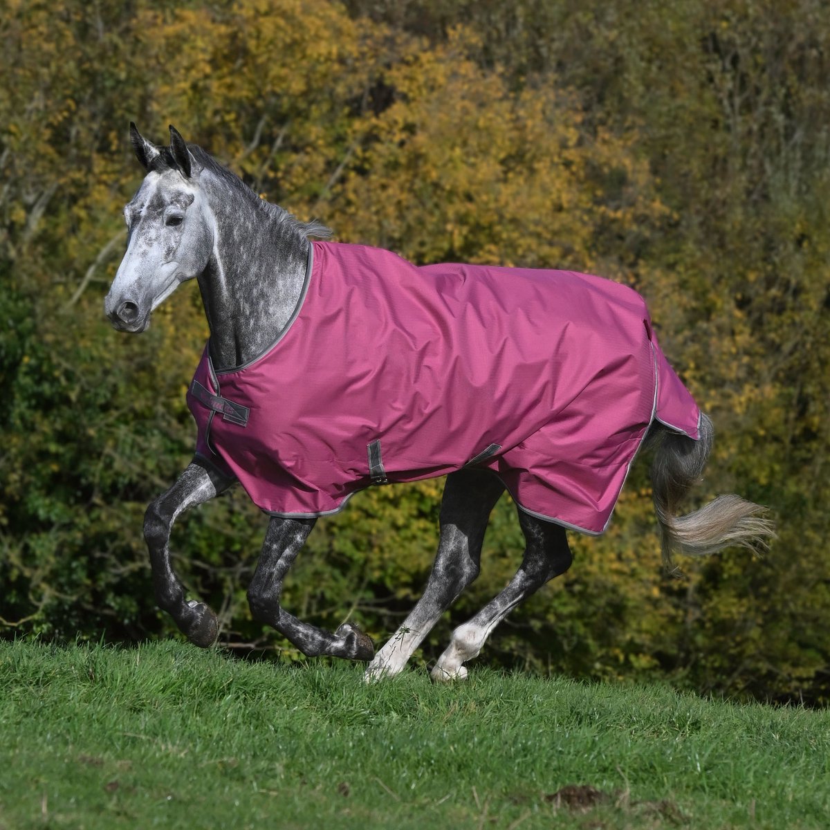 Bucas Freedom Turnout Raspberry-Bucas 145 / 195-300 gr.-Framboos
