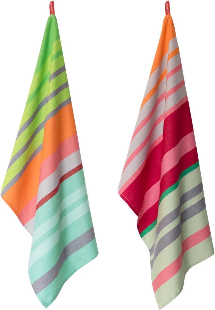 Thijox - Set van 2 kleurrijke theedoeken, 100% katoen, extra absorberende en pluisvrije keukendoeken voor dagelijks gebruik, 50 x 70 cm, ideaal voor a
