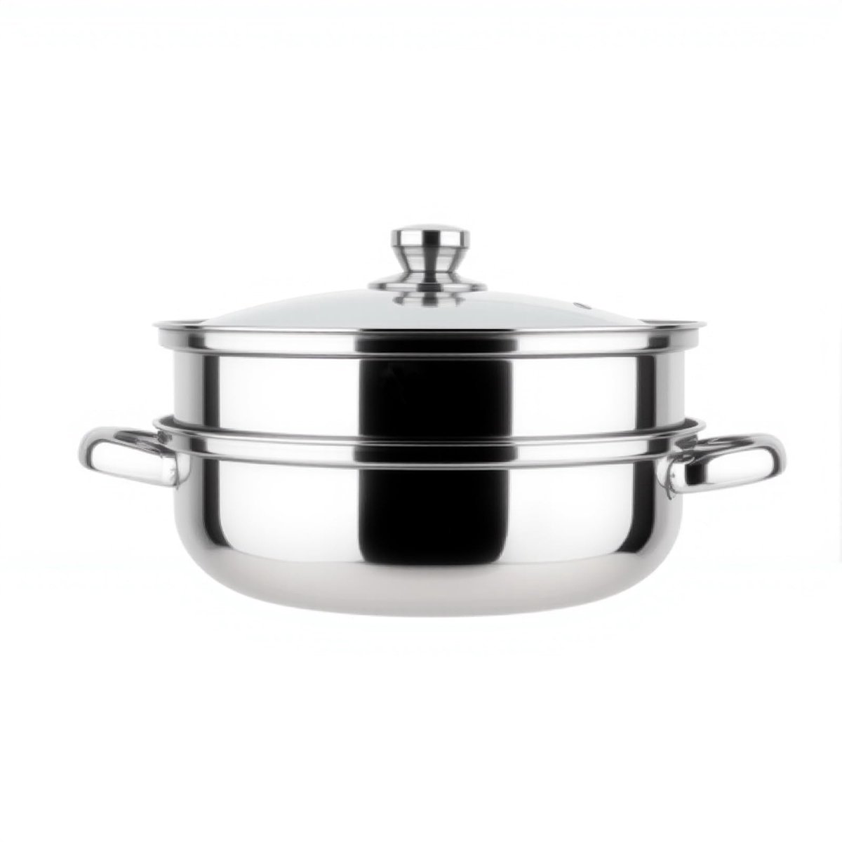Dailygoods- Stoompot Roestvrij Staal - Glazen Deksel - 2 Lagen - Inductiekookplaat - Groente/Knoedel - Circulerend Stoomontwerp - Stoomkoker
