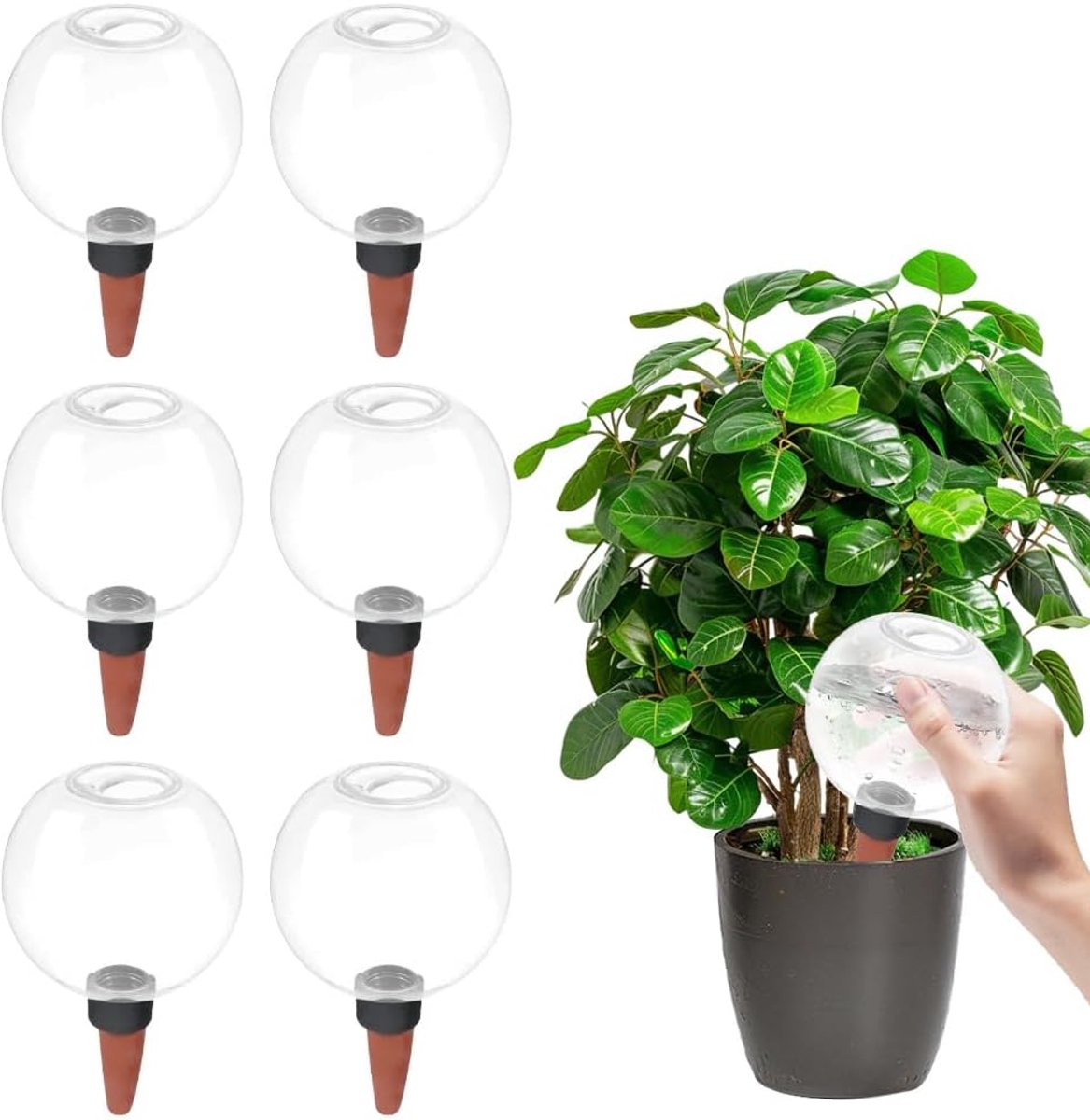 Thijox - 6 stuks zelfbewatering bewaarballen voor planten, 500ml waterdispenser, automatische plantenbewatering, duurzaam PP en keramiek, ideaal voor