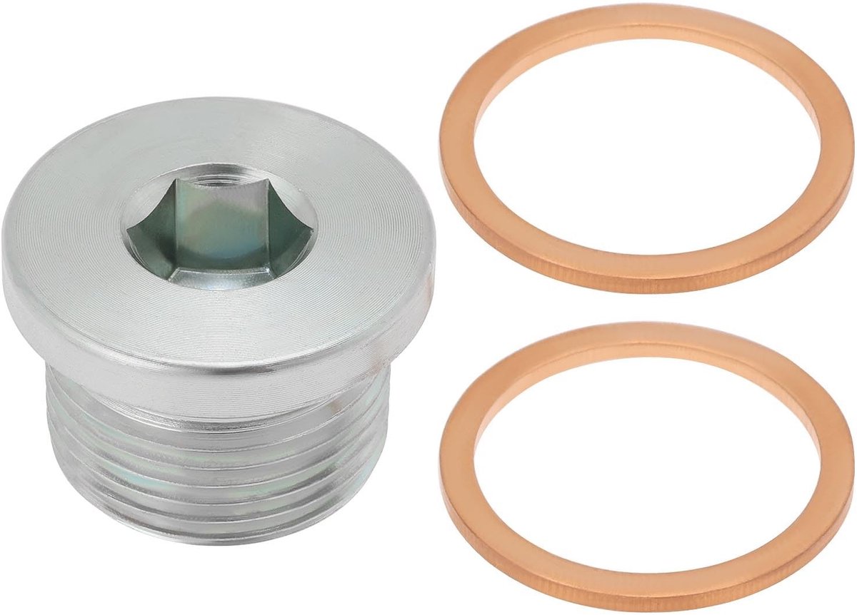 Dailygoods- Olieaftapplug - 2 stuks - M22 x 1,5 mm - Afdichtring - Compatibel met Fiat Ducato/Peugeot Boxer - Goede dichtheid - Onderdeelnummer 220133S - Afvoerplug