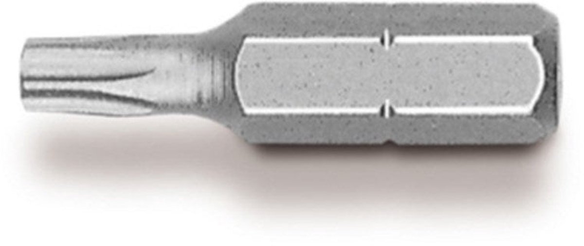 Bit 1/4 Torx T40-25Mm (25 Stuks)