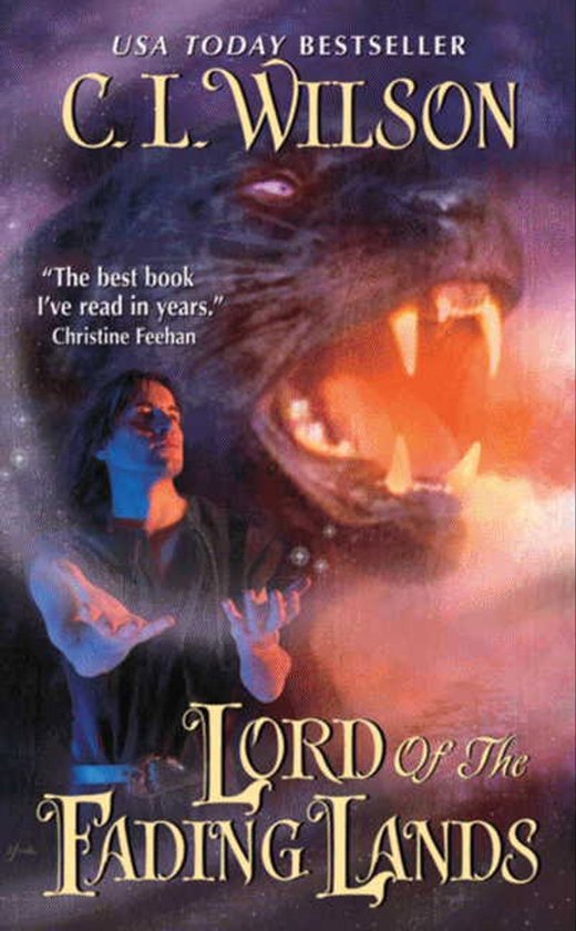 Boekomslag van 'Lord of the Fading Lands' met een man die spreuken werpt en een woeste zwarte panter.