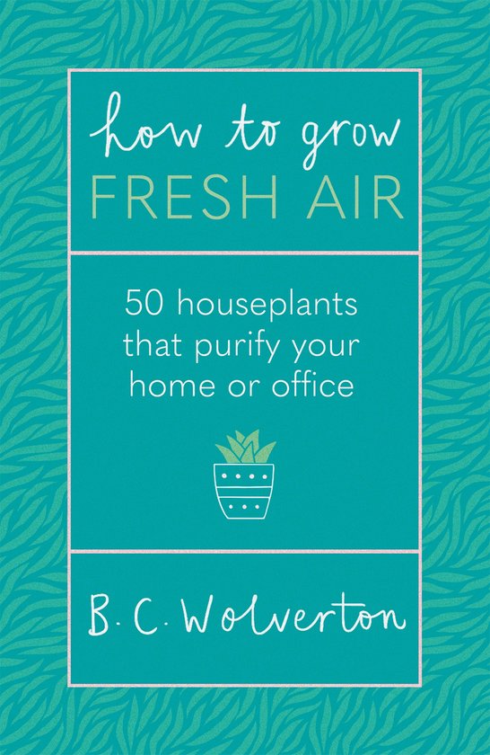 How To Grow Fresh Air 50 Houseplants To Purify Your Home Or Office
