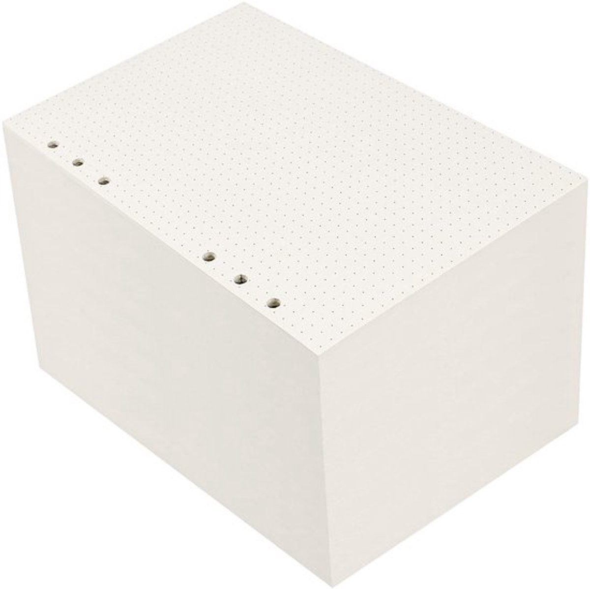 10 Pack 450 Vellen/ 900 Pagina's A5 Gestippeld Papier, A5 Gestippeld Navullingen Papier Planner Invoegen Dot Grid 6 Gaten Geponst voor 21 x 14,2cm Notitieboek