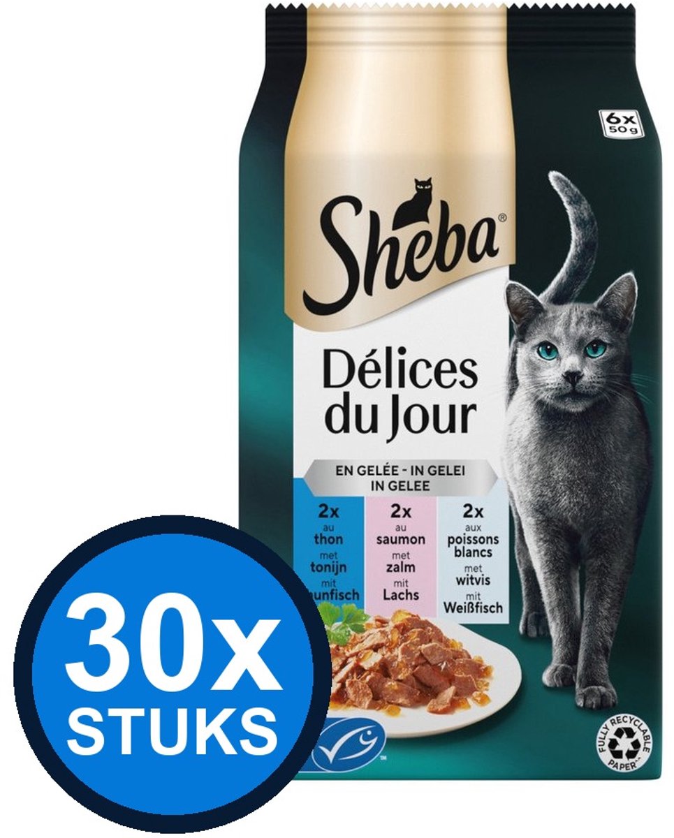 Sheba Sheba - Délices du Jour pouch gelei vis sel mp 6x50gr - Kattenvoer Natvoer - 300 g
