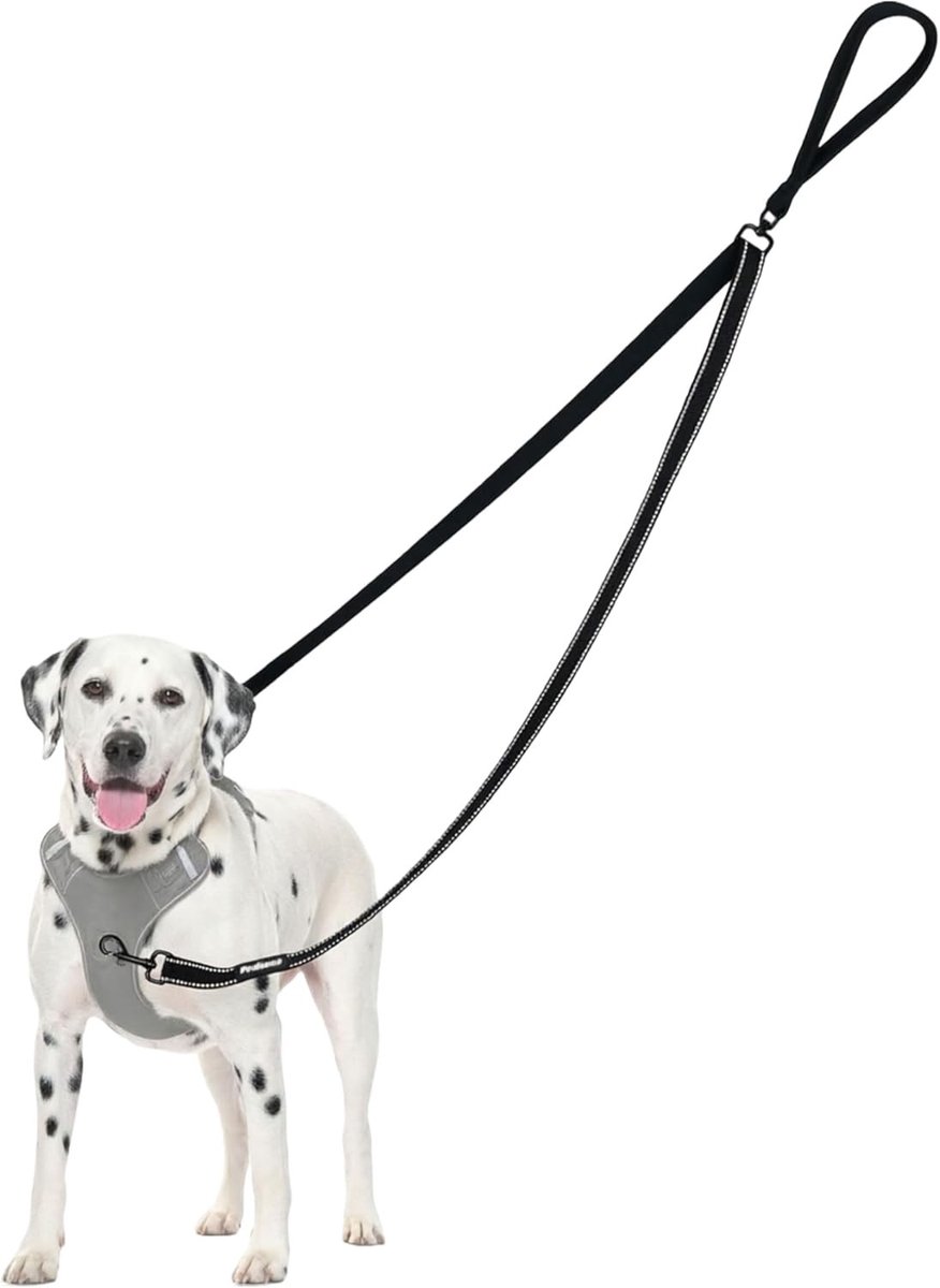 Dubbele Hondenriem - Zwart - 120 cm - Verstelbare Anti-trek Hondenriem met Reflecterende Naden - Voor Grote en Middelgrote Honden