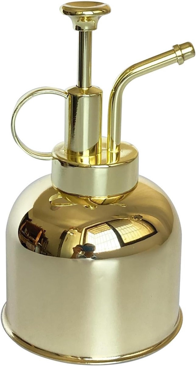 Roestvrijstalen plantensproeier, kleine gieter plantenspuitfles, modern tuingereedschap voor binnenpotplanten, water geven en sproeien (Goudkleur, 0.3L)