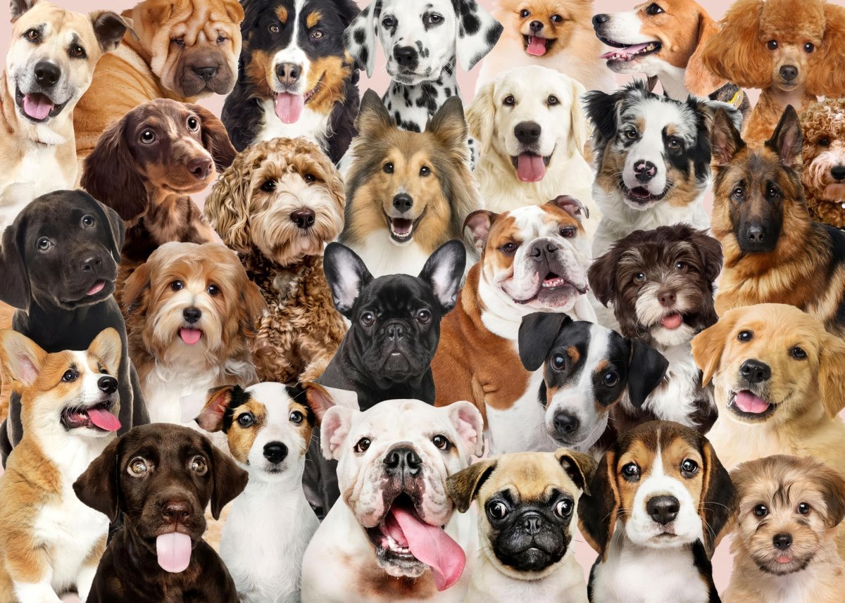 Solidchoice - Puzzel van 1000 Stukken met Schattige Honden 70 x 50 cm