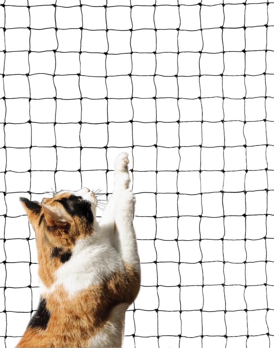 Solidchoice - Dierenbeschermend Kattennet 3x4m met Montagekit