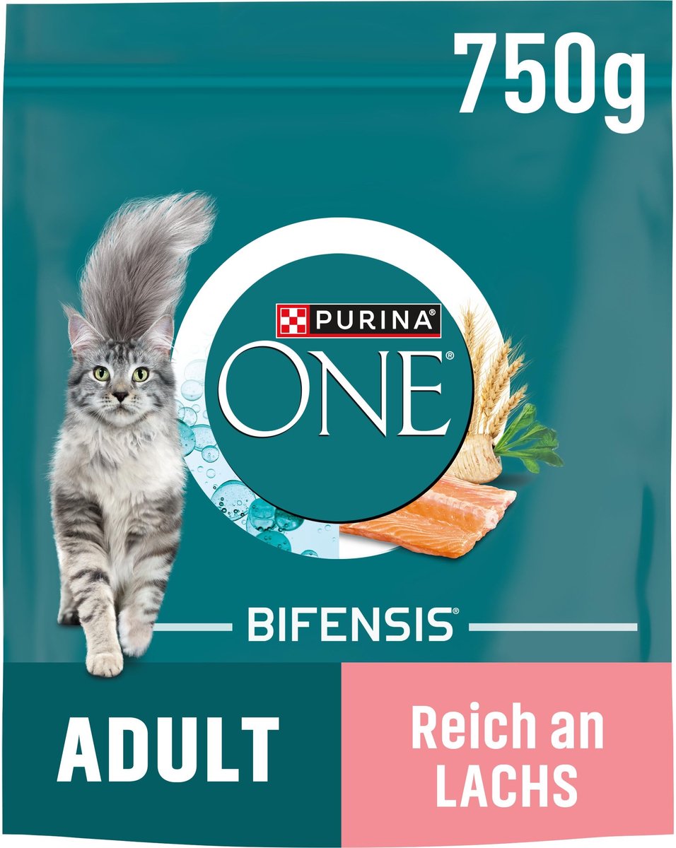 Solidchoice - Droogvoer voor Volwassen Katten met Zalm