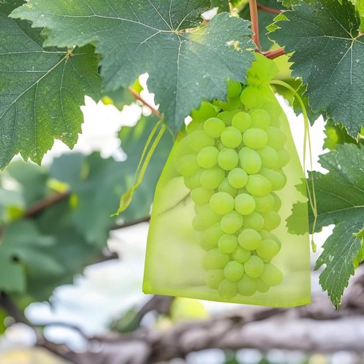 100 Stuks Fruitbeschermingsnetzakken 20x30cm voor Tuinplanten, Insecten- en Muggenwerende Netten voor Vruchten, Bloemen en Groenten