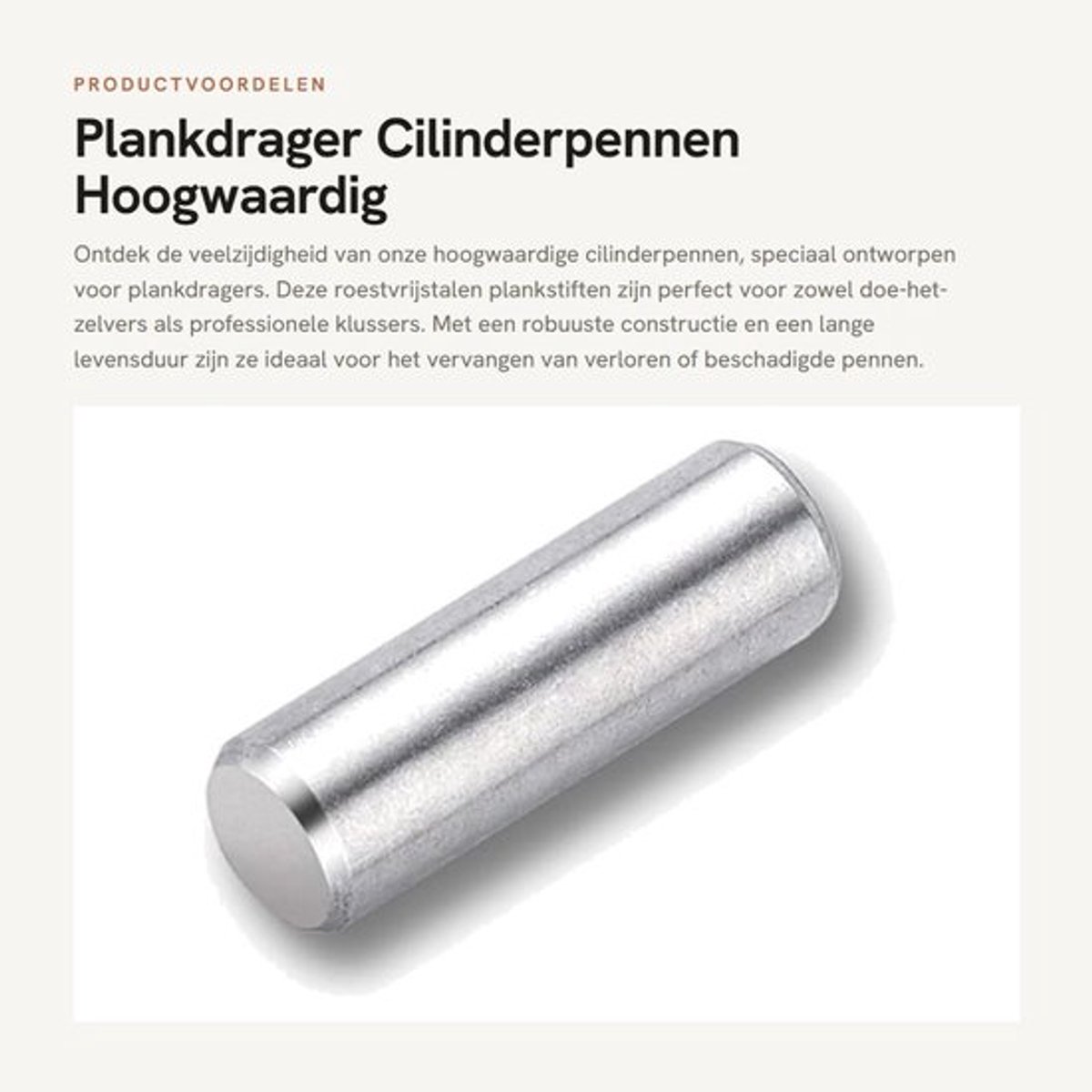 Plankdrager Hoogwaardig Roestvrij Staal - Cilinderpennen - Planksteunpennen - Meubelplanken - Reservepennen - Duurzaam en Robuust - Planksteun