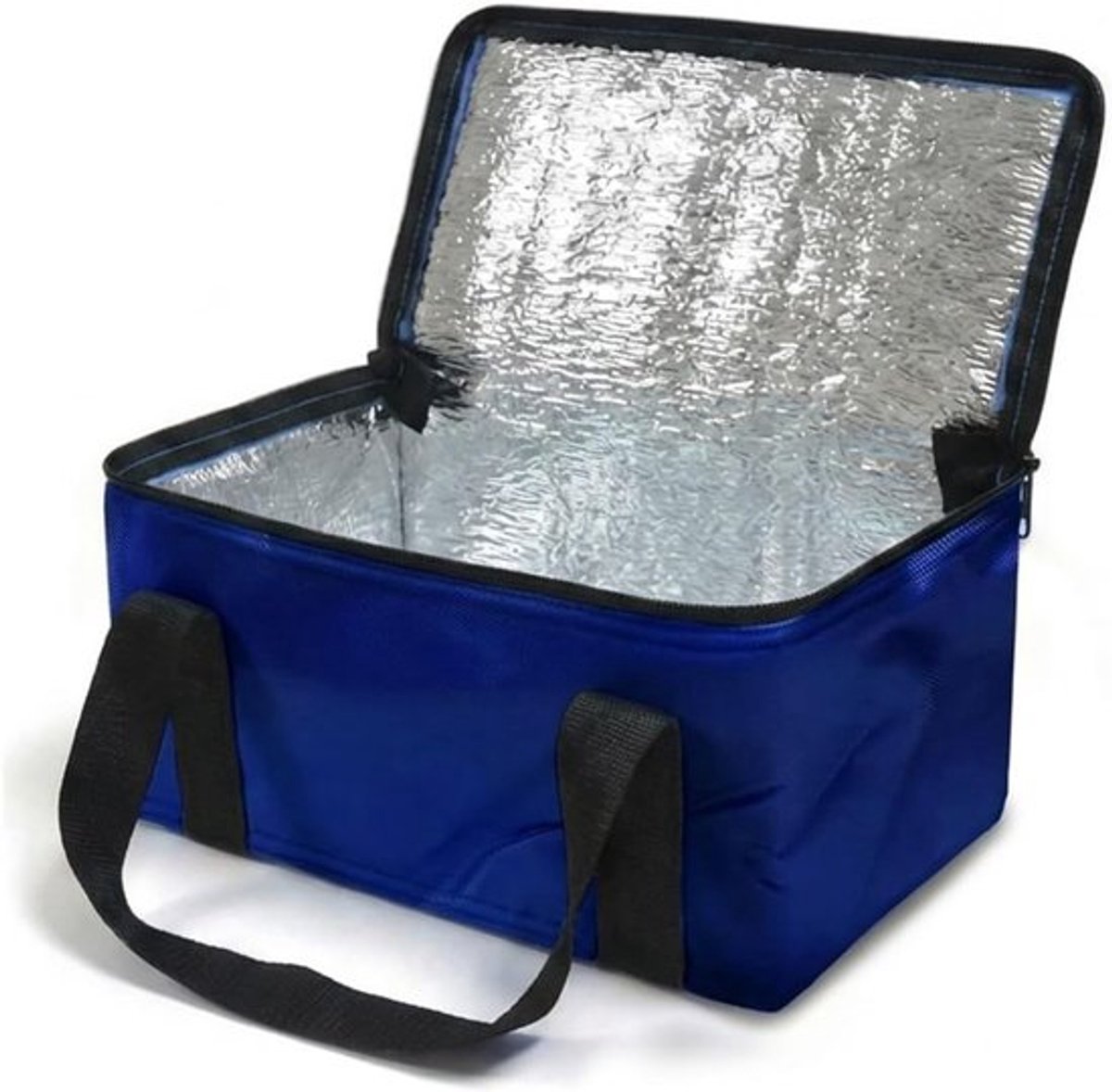 Thijox - 9,5 liter opvouwbare koeltas voor picknick, strand, camping - 30 x 18 x 18 cm - thermische voering - lichtgewicht polyester met handgrepen