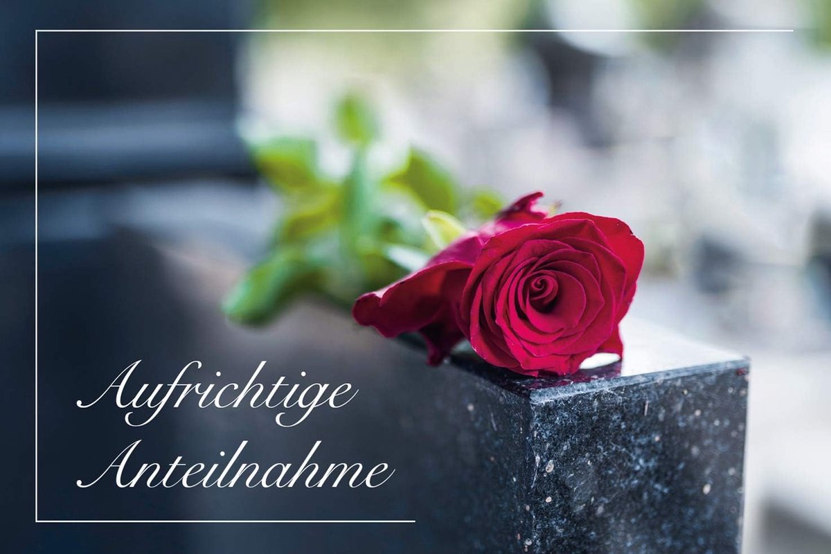 rouwkaarten set van 3 - rode rozen - stijlvolle deelname - geschikt voor condoleance - ShopVlot