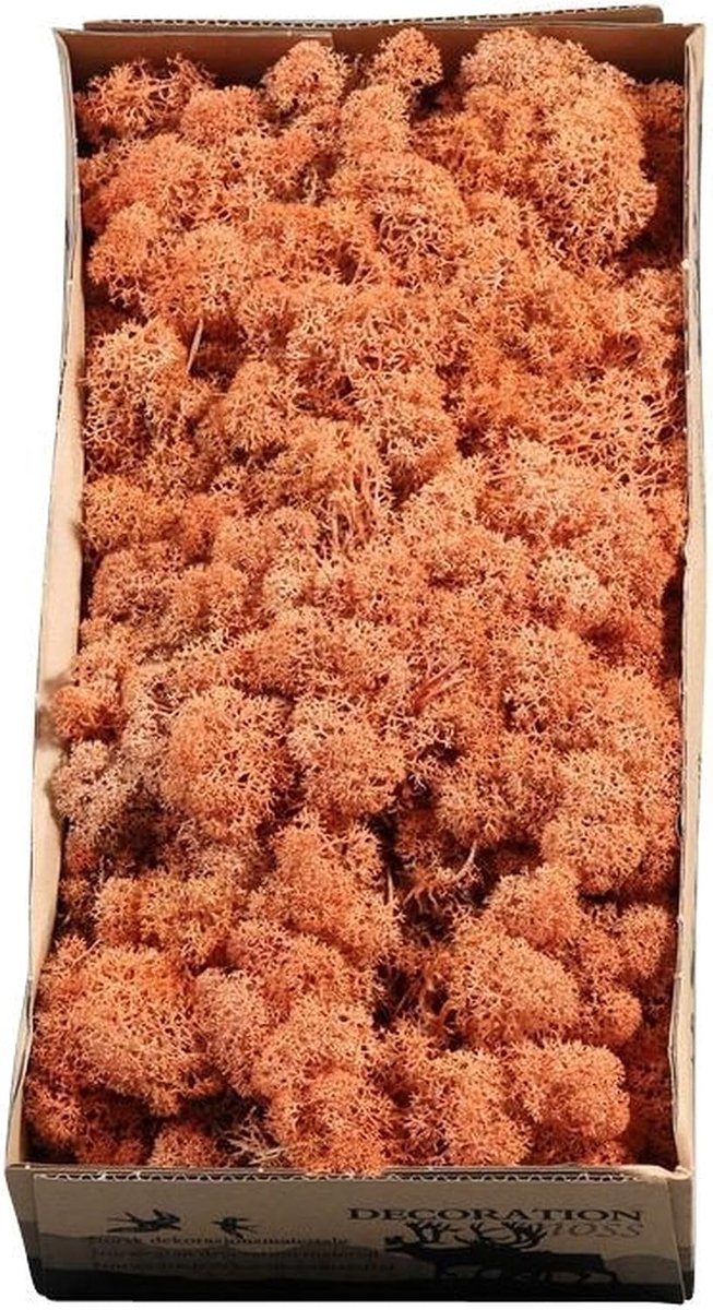 Flowerbox Box Icelandic moss mango-orange - 500g - ShopVlot