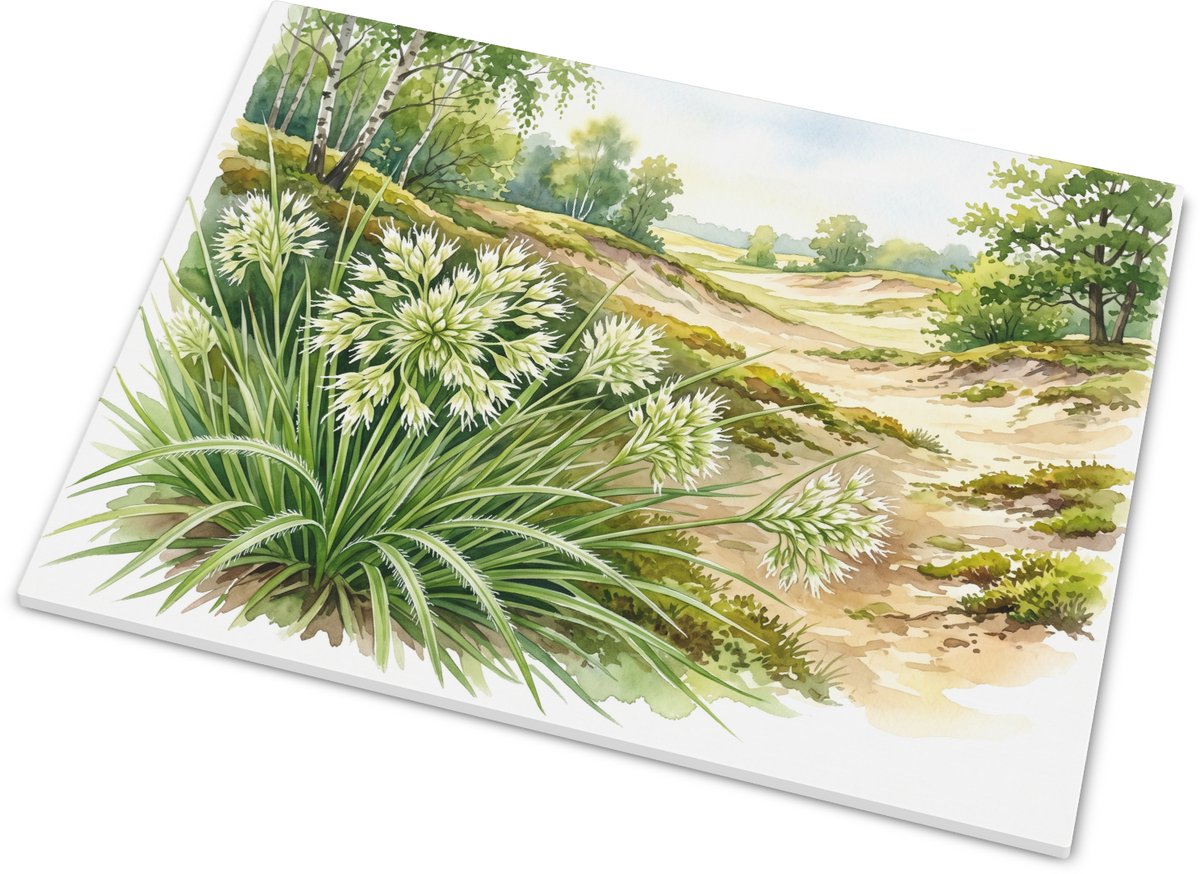 Tegeltje met Witte Veldbies Luzula luzuloides in Duinlandschap - Aquarel Natuur Kunst - De