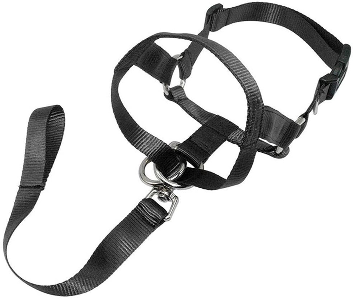 Dailygoods- Hondenhalsband Verstelbaar - Antitrekkop Halter - Nylon - Zwart - Maat M - Omtrek Hals 33-41cm - Hondentuig
