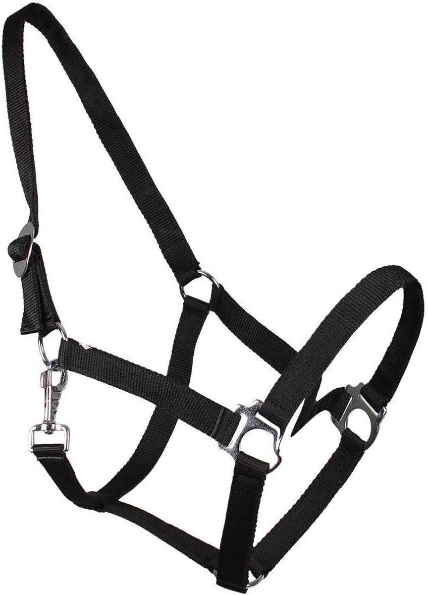 Stalhalster Pony - Paardentuig Halster - Stal en Weide - Schuifgesp Karabijnhaak - Pony Maat - Zwart