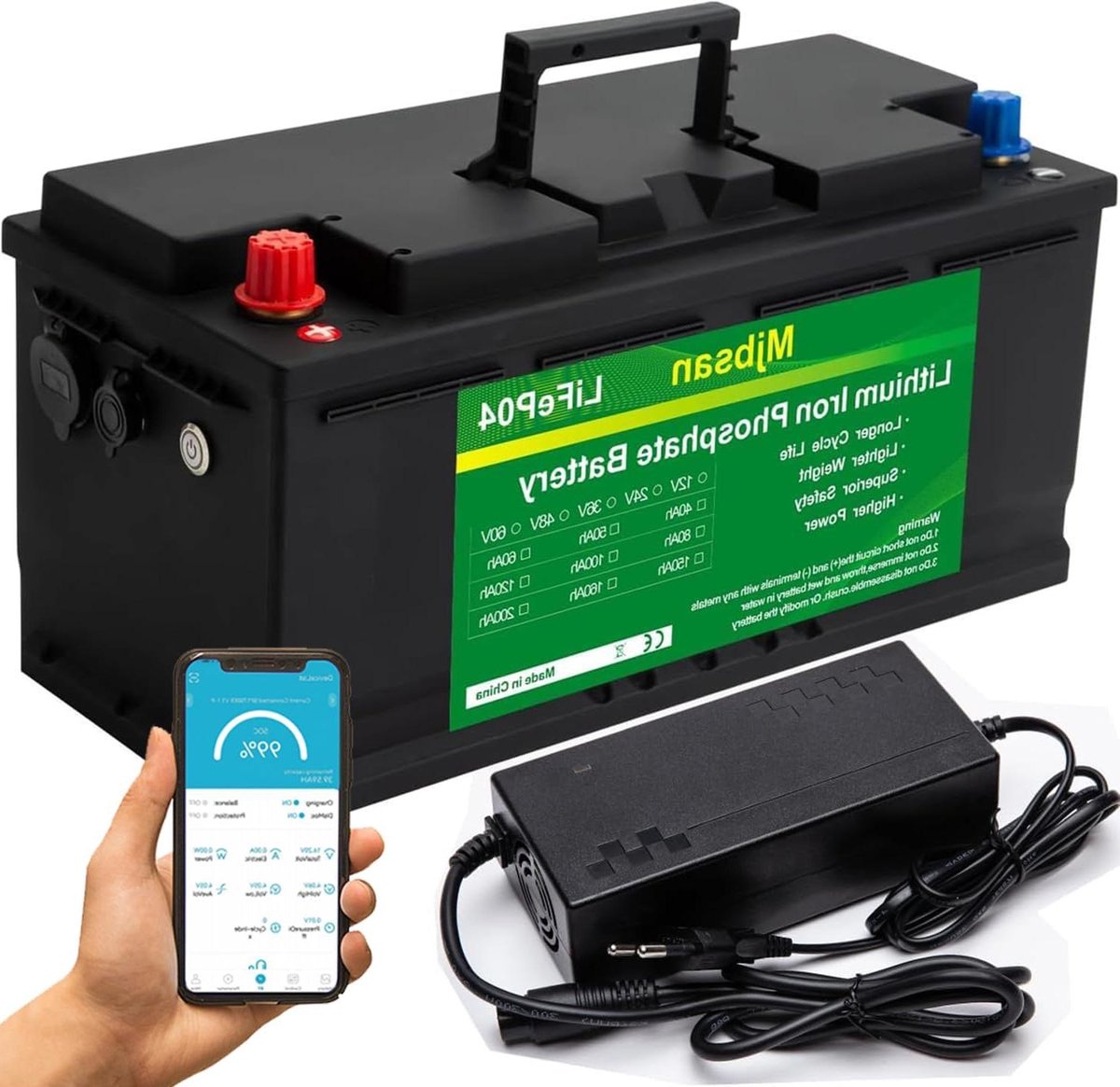 Lithium Batterij - RV Accu Diepcyclisch - Energie Opslag - Ingebouwd BMS - 100 Ah - Zwart