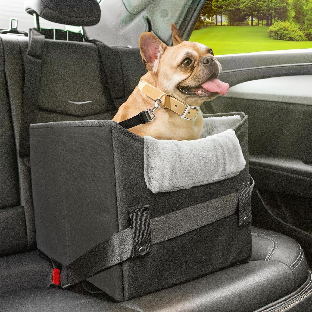 Huisdier autostoel - Reisstoel hond - Veilig reizen - Verhoogd zicht - Tot 11 kg - Zwart