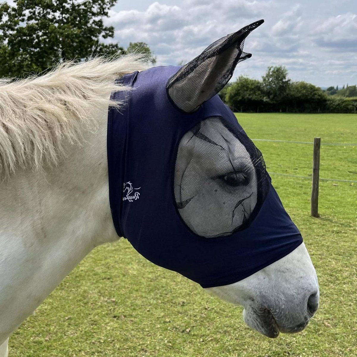 Paarden Vliegenmasker - Comfortabel Lycra - Insecten Weren - Zonder Sluitingen - Maat XL - Marineblauw