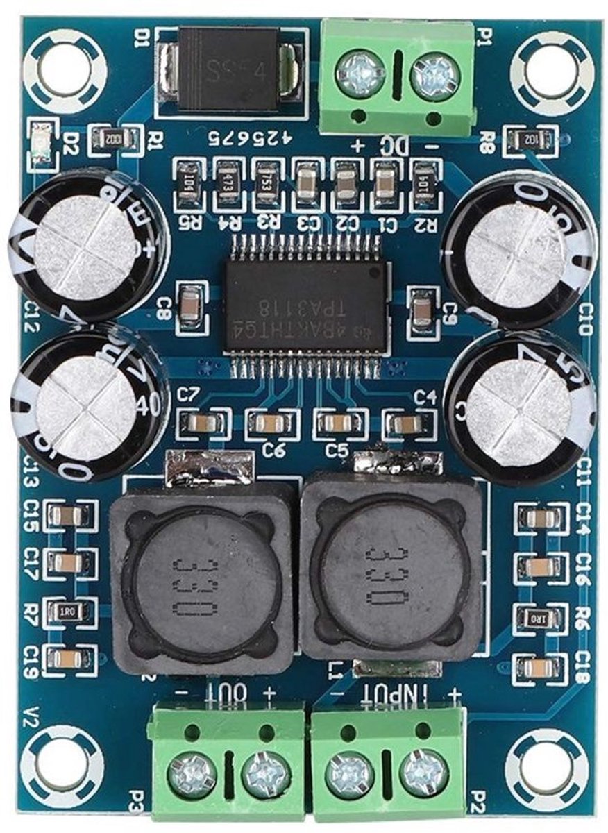 Aladdien - 60W Mono - Mini Digital Audio Amplifier - Compact Formaat