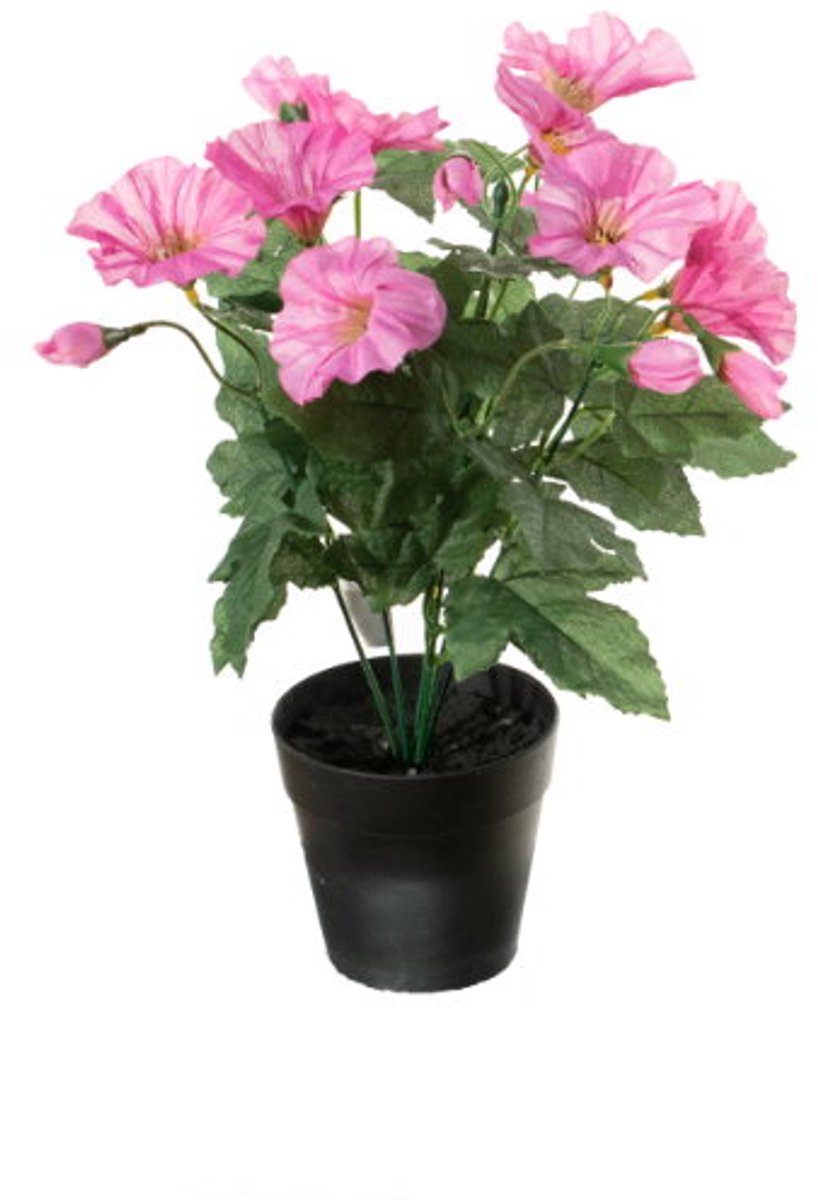 Petunia h28 cm p cerise zijde nepbloem Louis Maes