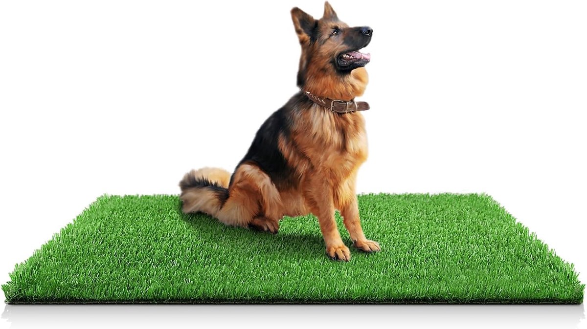 SnelShoppen - Kunstgrasmat voor Honden 100 x 150 cm - Zindelijkheidstraining - Binnen & Buiten Gebruik - Decoratie voor Patio & Gazon
