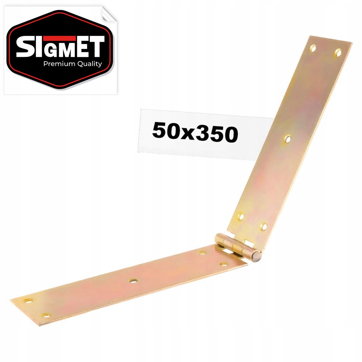 Bouwbeslag Scharnier 50x350mm voor Poort, Deur & Kast
