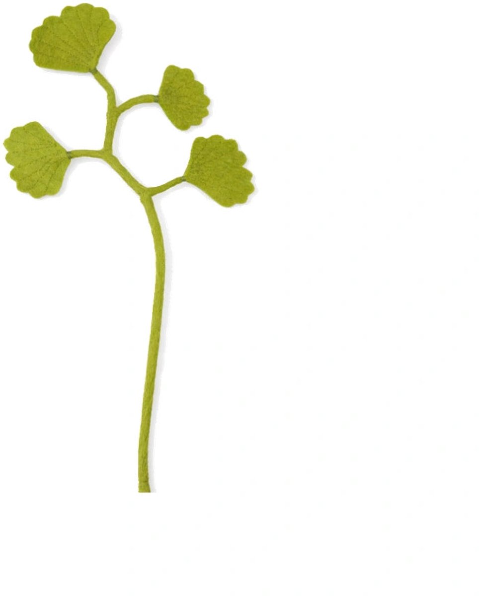 Tak Ginko - Decoratieve Tak