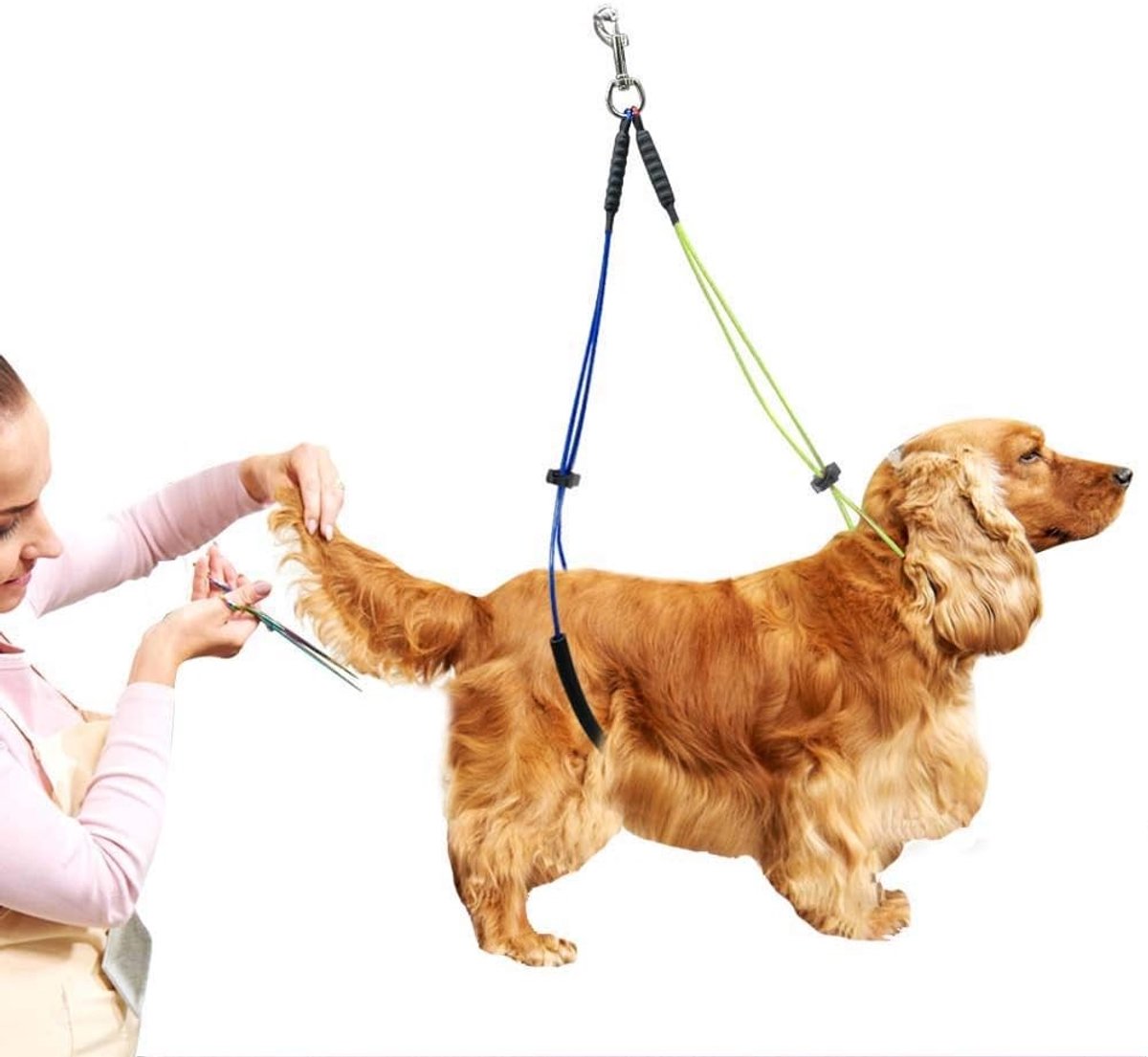 Hondenverzorgingslijn - Geel en Blauw - 62 cm en 50 cm - Verstelbare Hondenverzorgingslus met Schuimkraag - Voor Honden