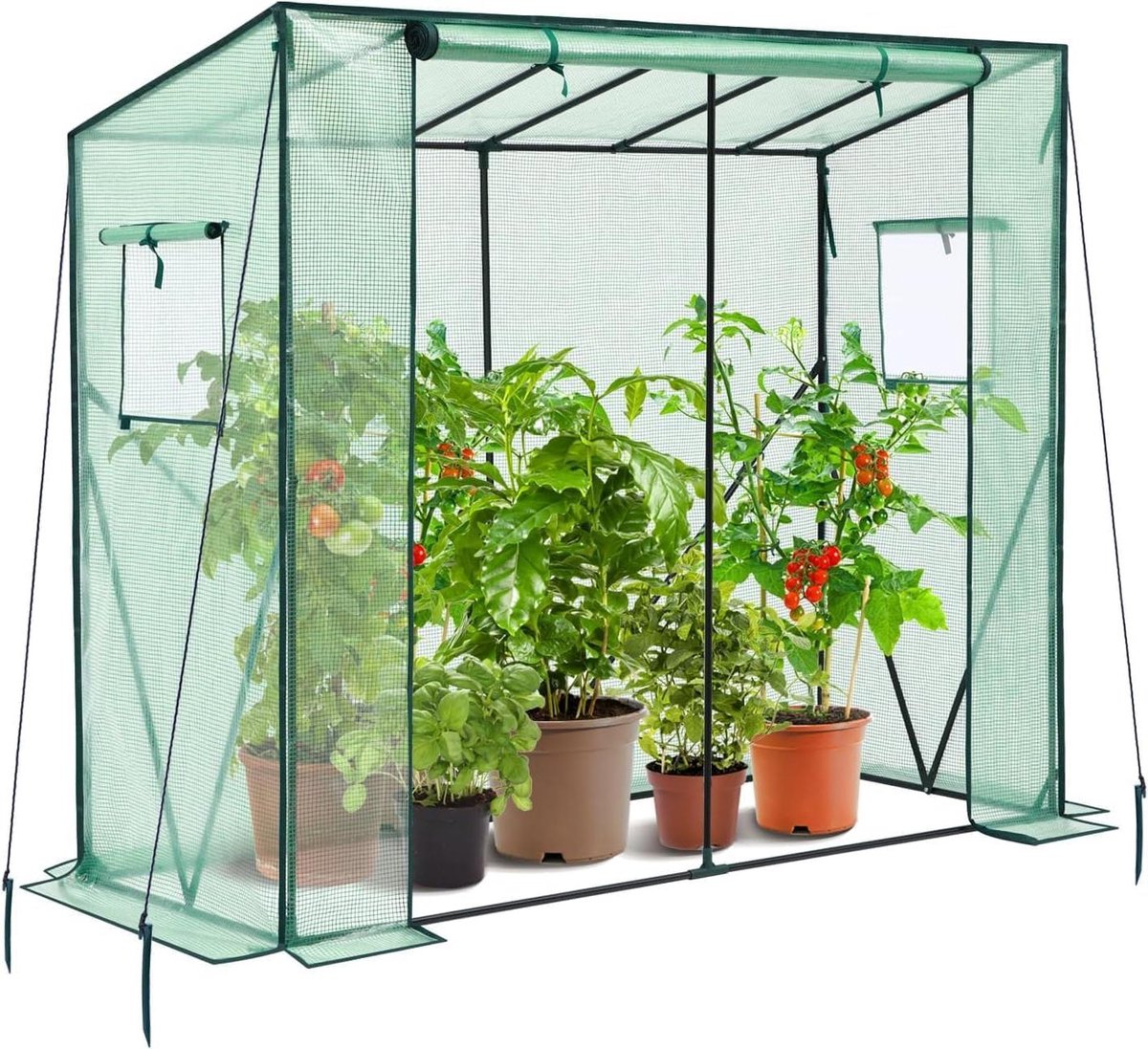 Kweekkas Afdekking - Kas Groen - Planten Kweken - Waterdicht Materiaal - 200x77x170 cm - Groen