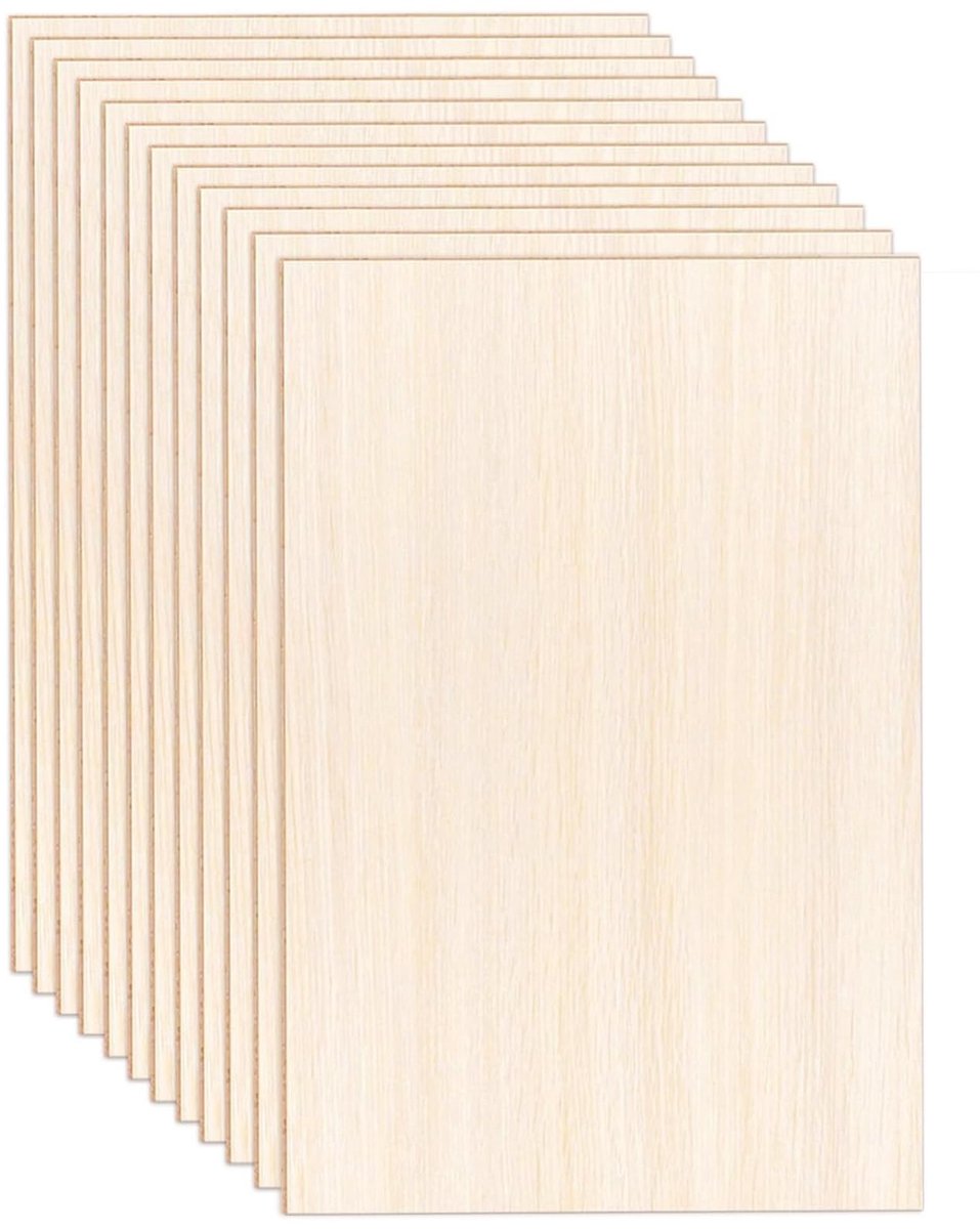 Omgoods - Set van 12 Balsahout Planken voor Creatieve Projecten