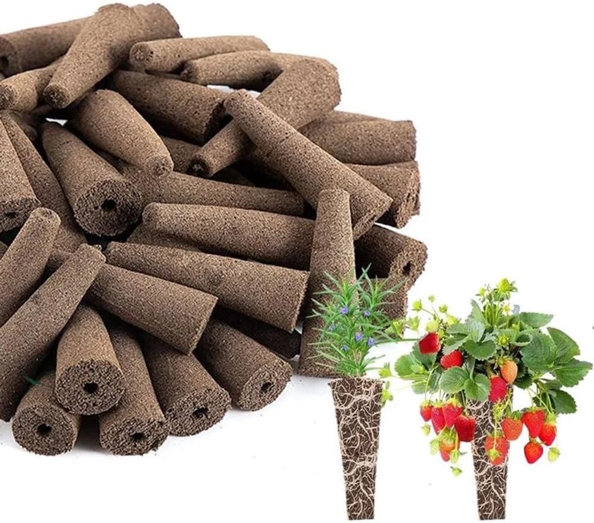 Groei sponzen 30-pack - zaadstarter sponzen voor hydroponische teelt - ideaal voor binnen tuinieren - optimale groei - ShopVlot
