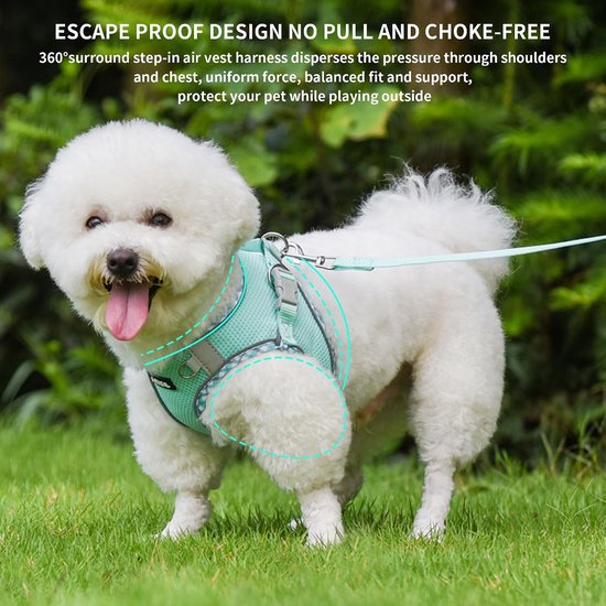 Klein hondentuigje, lichtgewicht mesh-instapvest voor puppy's, reflecterend, ontsnappingsbestendig ontwerp met Velcro, voor binnen en buiten, voor chihuahua, maltees, shih tzu (turkoois, XXXS) van klein — afbeelding 5