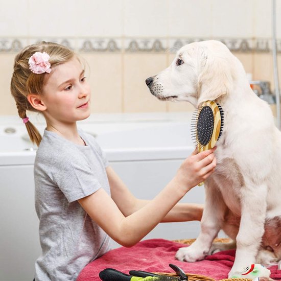 Dubbelzijdige huisdierverzorgingsborstel, 2-in-1 hondenborstelkam en massageborstel, hondenverzorgingsgereedschap voor honden en katten met lang of kort haar — afbeelding 4