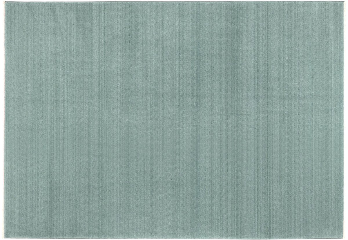 Rug 160 x 230 cm - Groen - Tapijt voor woonkamer - Creëer sfeer in uw interieur - ShopVlot