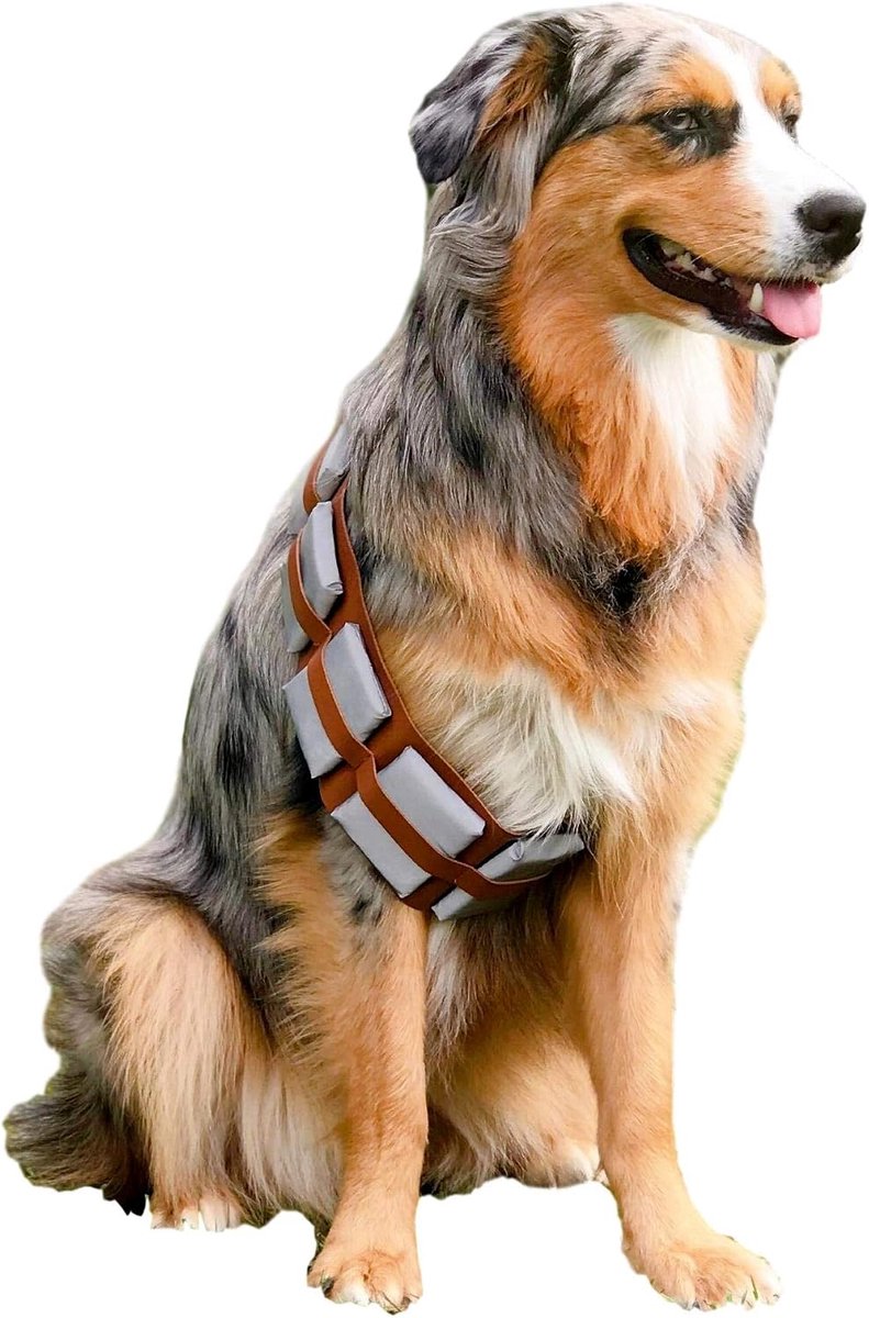 Furry Star Warrior Utility Riem Hondenkostuum, Medium