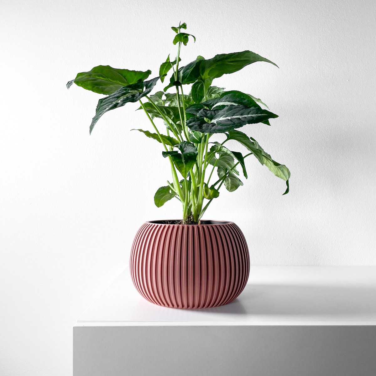 Skushy Surno Bloempot - Moderne Designpot voor Kamerplanten - Sculpturale Plantenpot voor Woonkamer en Kantoor - Premium Woondecoratie