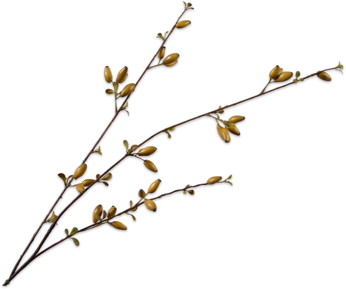 Silk-ka Kunstbloem-Zijden Bloem Rozenbottel Tak Bordeau-Bruin 84 cm