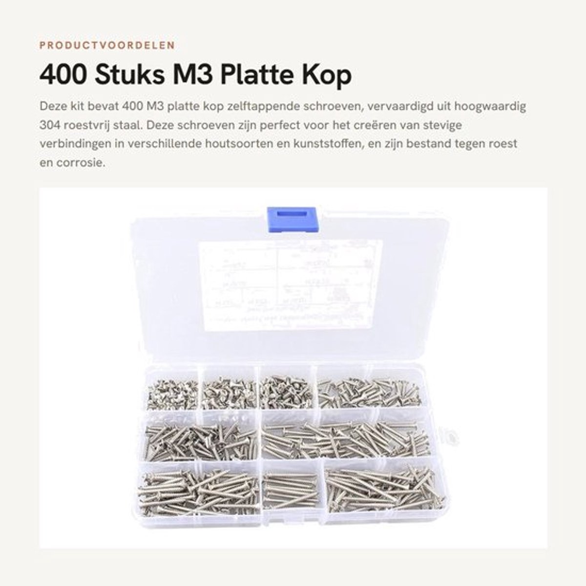 Schroeven Set 400 Stuks - M3 Platte Kop Zelftappende - Roestvrij Staal - Houtdraad Nagels - Herbruikbare Doos - Goede Houdkracht - Houtschroeven