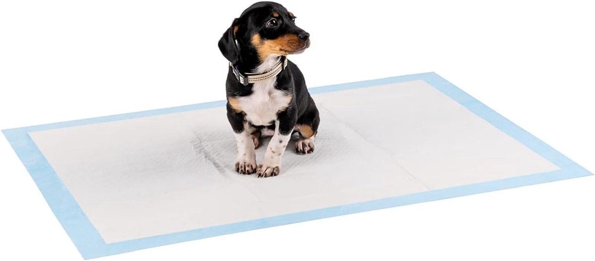 SnelShoppen - Puppy Pads 100 Stuks - 6-Lagen Training Pads voor Honden met Plakstrips, 60x90 cm, Lekvrij en Duurzaam, Hoge Absorptie voor Zieke en Inc